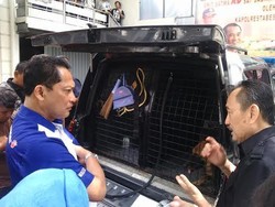 Dapat Perintah Presiden, Buwas Cari Anjing Pelacak ke Surabaya