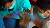 Polda Riau Gagalkan Perdagangan 8 Satwa Langka