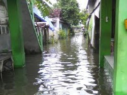 Pemukiman di Kecamatan Babat Dikepung Banjir