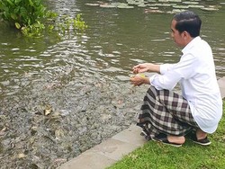 Tinggal di Istana Bogor, Ini Hiburan Jokowi Tiap Sabtu dan Minggu
