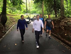 Jokowi Asyik Jalan Sore di Istana Bogor: Biar Badan Tetap Sehat