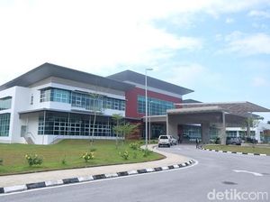 RI Tertinggal dari Malaysia dalam Riset Kelapa Sawit RI Tertinggal dari Malaysia dalam Riset Kelapa Sawit