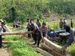 Ratusan Kayu Jati Ditinggalkan Pelaku Ilegal Logging