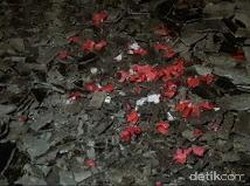 Ada Bunga Mawar Bertebaran di Gang Menuju Lokasi Kebakaran di Kalijodo