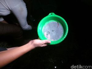 Berburu Cacing di Festival Bau Nyale