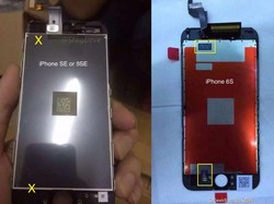 Bocoran Tampang iPhone 5SE Tanpa 3D Touch