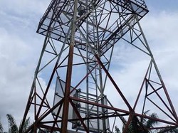 Awasi Emisi Gas Kebun Sawit, Malaysia Bangun Menara Pantau 40 Meter