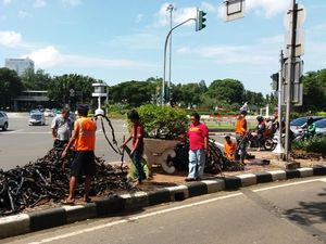 Bungkus Kabel di Merdeka Selatan Capai 9 Truk, Pembersihan Got di Ring 1 Dikebut