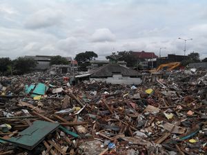 Ahok Sebut Ada Perusahaan yang Mau Bangun Taman Kalijodo