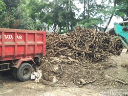 Sampah Bungkus Kabel Sebanyak 12 Truk Setara 60 Kubik