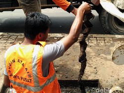 Kapolda: Belum Ada Indikasi Sabotase Terkait Temuan Sampah Bungkus Kabel