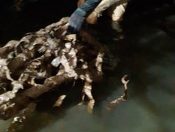 Kadis Tata Air DKI: Temuan Sampah Bungkus Kabel Sudah Sekitar 20 Truk