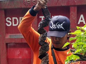 Soal Sampah Bungkus Kabel, Petugas Akan Cari Juga di Saluran Sekitar Istana Soal Sampah Bungkus Kabel, Petugas Akan Cari Juga di Saluran Sekitar Istana