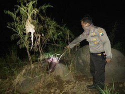 Warga Dihebohkan Mayat Wanita Tanpa Kepala di Tepi Sungai