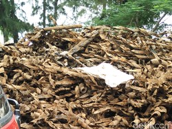 PLN Jelaskan Mekanisme Pemasangan Jaringan Listrik Bawah Tanah