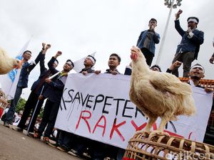 Pak Erick Thohir, Peternak Teriak Minta BUMN Serap Ayam biar Nggak Bangkrut