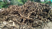 Penampakan Bungkus Kabel di Penampungan Benhil