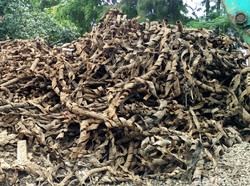 PLN: Sampah Bungkus Kabel di Got Bukan Milik Kami