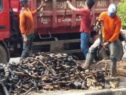 Ahok Minta Jajarannya Selidiki Temuan Bungkus Kabel di Gorong-gorong