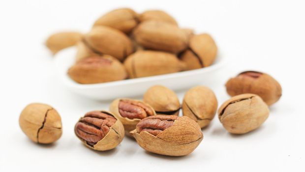 Ilustrasi Pecan