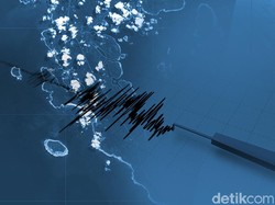 Pulau Siberut Selatan di Kepulauan Mentawai Aman dari Tsunami