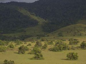 Habis Lihat Gerhana di Luwuk, Bisa Jelajah Padang Savana Lenyek