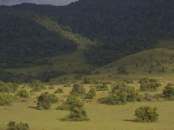 Habis Lihat Gerhana di Luwuk, Bisa Jelajah Padang Savana Lenyek