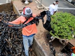 Pasukan Biru Gandeng Marinir untuk Cek Saluran Air di Depan Istana