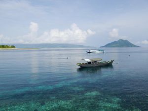 5 Alasan Pecinta Wisata Bahari Harus Coba Liburan ke Alor