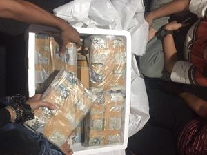 Simpan Paket 21 Kg Ganja di Rumah, Nurdin Ditangkap Polres Bogor