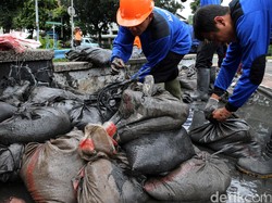 Terlalu! Lumpur di Gorong-gorong Istana Sudah Bertahun-tahun Didiamkan