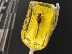 Berani Beli Suvenir Permen Kalajengking dari Amerika?