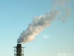 Faktor Produksi Turunan beserta Contohnya