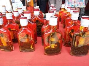 Bukan Arak Bali, Ini Whiskey Kobra & Kalajengking Khas Laos Bukan Arak Bali, Ini Whiskey Kobra & Kalajengking Khas Laos