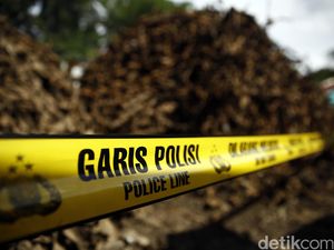 Polisi Tangkap Kapolsek di Aceh yang Diduga Terlibat Illegal Logging