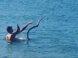 Pria Ini Diusut Polisi karena Ajak Ular Peliharaannya Berenang