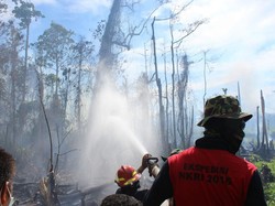 Kebakaran Lahan  di Dumai Meluas, Status akan Ditingkatkan Siaga Darurat