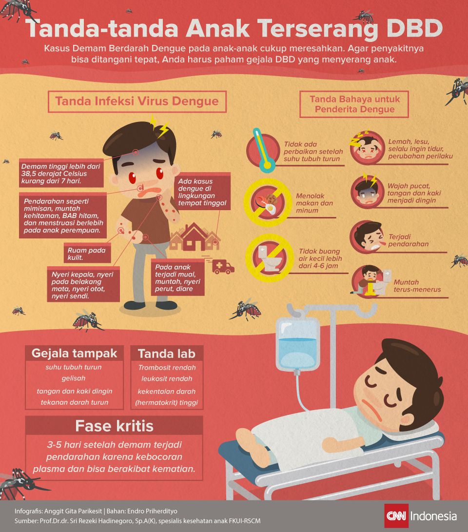 Infografis Tanda-Tanda Anak Terserang DBD