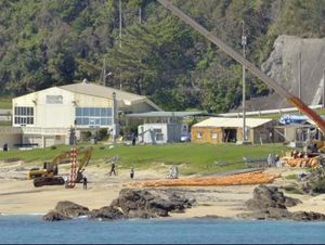 Ratusan Orang di Pangkalan Militer AS di Jepang Terinfeksi Corona