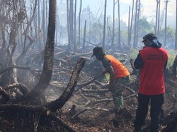 Menhut: Kebakaran Hutan dan Lahan Ditangani Operasi Terpadu