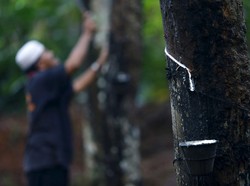 Tolong Petani, Pemerintah Ingin Aspal Dicampur Karet