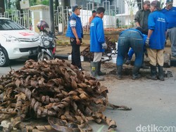 Bertambah 3 Truk Lagi, Sampah Bungkus Kabel Misterius Capai 25 Truk