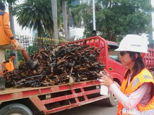 Ridwan Kamil Duga Kulit Kabel di Gorong-gorong Kecerobohan Kontraktor Telekomunikasi