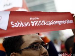 Cerita Kunjungan Kerja Anggota DPR ke Denmark soal Lambang Palang Merah