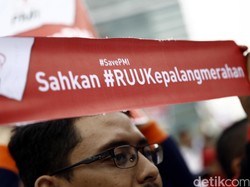 Cerita Kunjungan Kerja Anggota DPR ke Denmark soal Lambang Palang Merah