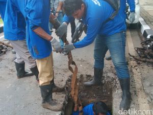 Hingga Hari Ini Pasukan Biru Sudah Temukan 22 Truk Sampah Bungkus Kabel