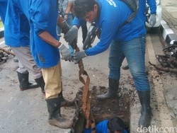 Hingga Hari Ini Pasukan Biru Sudah Temukan 22 Truk Sampah Bungkus Kabel