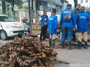 120 Personel Diterjunkan, 2 Truk Bungkus Kabel Diangkut dari Depan Gedung BI