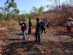 Polres Bontang Tetapkan Seorang Tersangka Atas Matinya 3 Orangutan