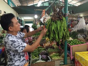 Ini Alasan Yusril Suka Pakai Kaos Mickey Mouse